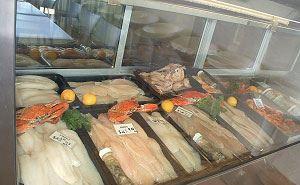 Coolum Seafoods - New South Wales Tourism  6