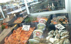 Coolum Seafoods - New South Wales Tourism  7