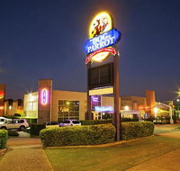 Dog  Parrot Tavern - New South Wales Tourism 