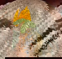 Namory Eatery - New South Wales Tourism 