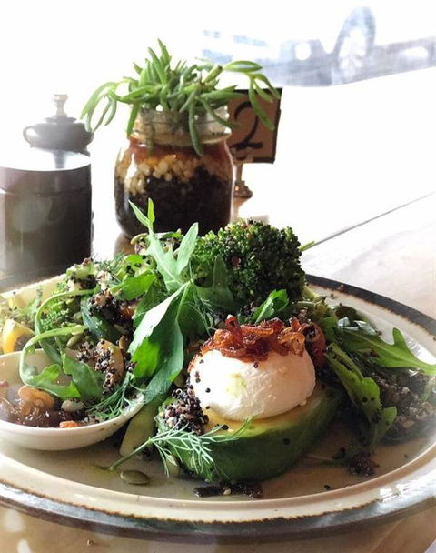 Grand Ridge Brewery Restaurant And Bar - New South Wales Tourism  4