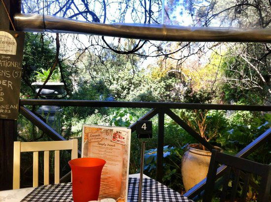 Petwood SA New South Wales Tourism 