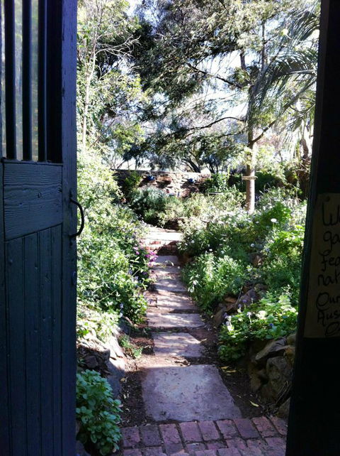 Lavande Of Callington - New South Wales Tourism  3