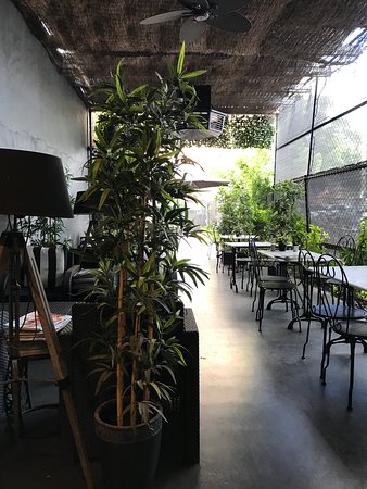 Wondalli QLD New South Wales Tourism 