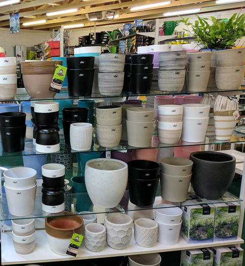 Chantelle's Coffee Garden - New South Wales Tourism  4