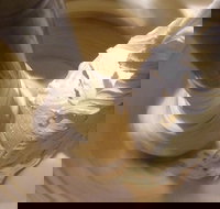 Gelato Classico Noosa Italian Cafe - New South Wales Tourism 