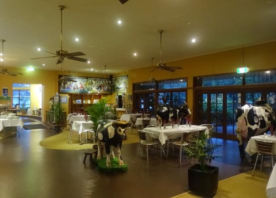 Glen Allyn QLD New South Wales Tourism 