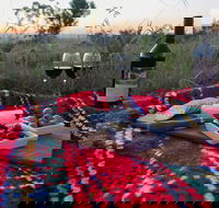 Bunnyconnellen Olive Grove  Vineyard - New South Wales Tourism 