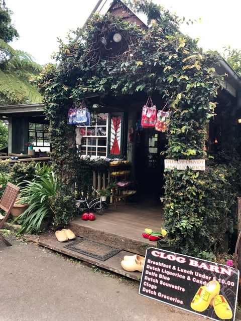 Dutch Bite Cafe - New South Wales Tourism  1