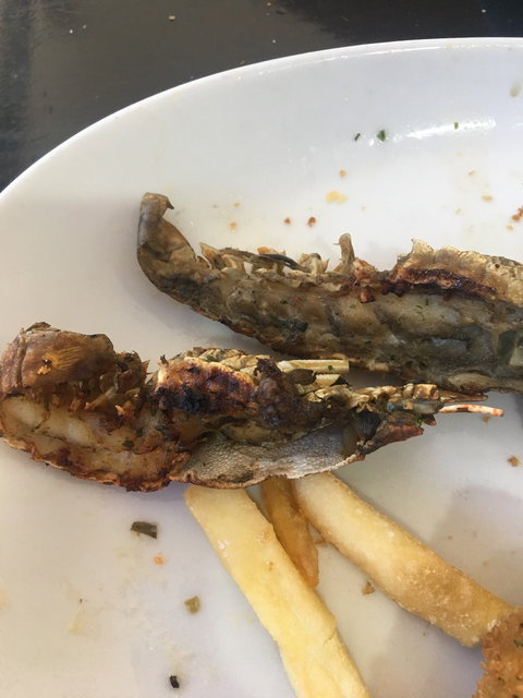 Jacobs Well Bayside Tavern - New South Wales Tourism  2