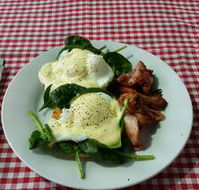 The Shed Cafe - New South Wales Tourism 