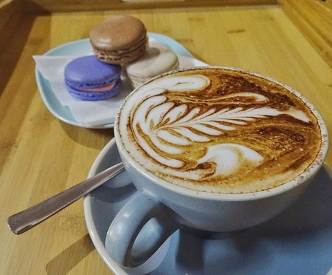 The Spring Bean - New South Wales Tourism  0