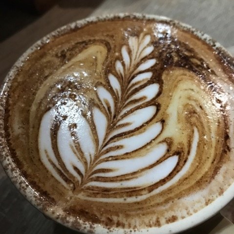 The Spring Bean - New South Wales Tourism  2