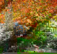 The Woods Ravensbourne - New South Wales Tourism 