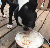 Doghouse - New South Wales Tourism 