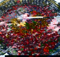 Red Chilli Sichuan Burwood - New South Wales Tourism 