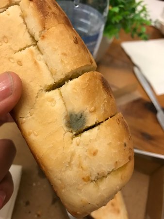 Avo MenU - New South Wales Tourism  0