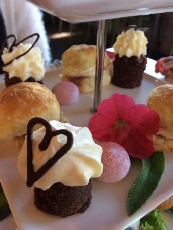 Van Loons Nursery - New South Wales Tourism  0