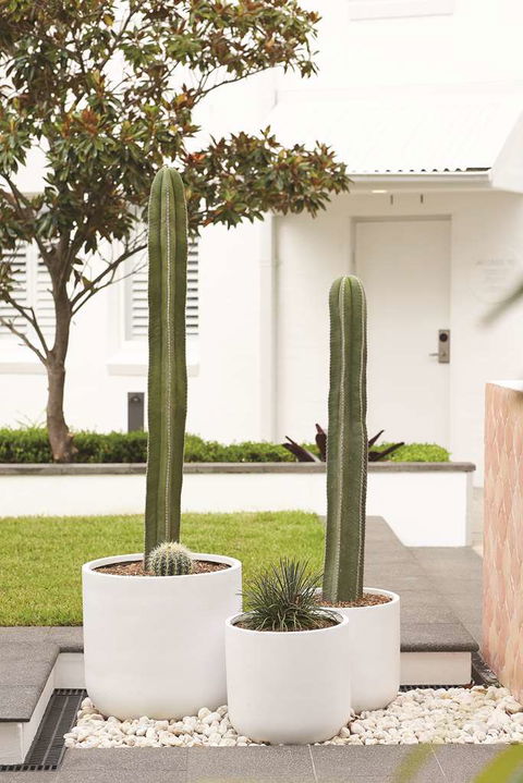 Adina Apartment Hotel Chippendale - New South Wales Tourism  0