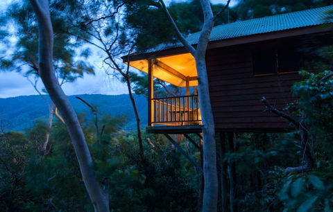 Thala Beach Nature Reserve - New South Wales Tourism  0