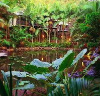Daintree Eco Lodge  Spa - New South Wales Tourism 