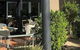 The Coffee House Apartments & Bistro - thumb 1