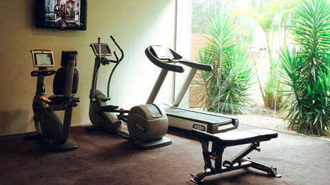 Holiday Inn Warwick Farm - New South Wales Tourism  12