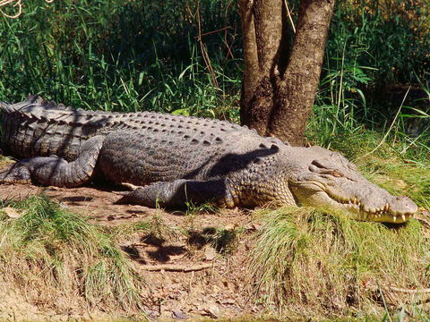 Novotel Darwin Atrium - New South Wales Tourism  16