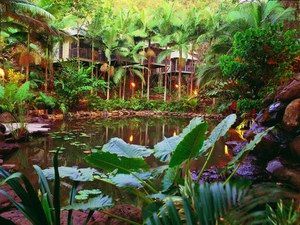Daintree Eco Lodge & Spa - New South Wales Tourism  0