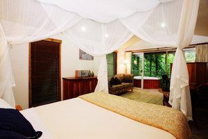 Daintree Eco Lodge & Spa - New South Wales Tourism  1
