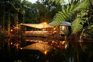Daintree Eco Lodge & Spa - New South Wales Tourism  2