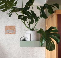 ACE Hotel Sydney - New South Wales Tourism 