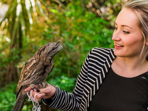 Mount Lofty House - New South Wales Tourism  1