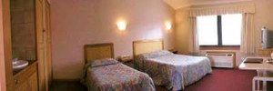 Golden Chain Ascot Motor Inn - New South Wales Tourism  4