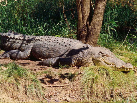 Novotel Darwin Atrium - New South Wales Tourism  16