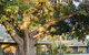 Kimberley Grande Resort & Conf Ctr - thumb 0