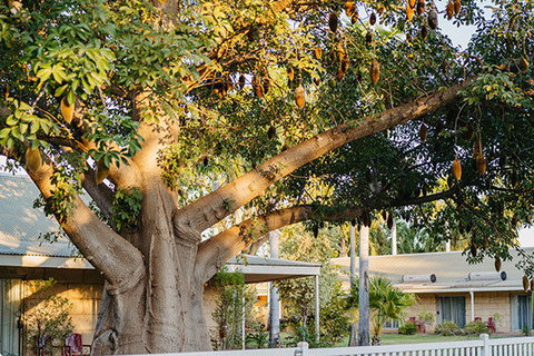 Kimberley Grande Resort & Conf Ctr - New South Wales Tourism  0
