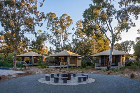 Discovery Parks Barossa Valley - New South Wales Tourism  0