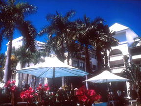 Alamanda Palm Cove - New South Wales Tourism  1