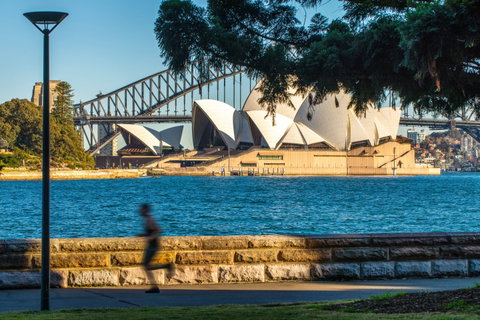 Holiday Inn Potts Point - New South Wales Tourism  15