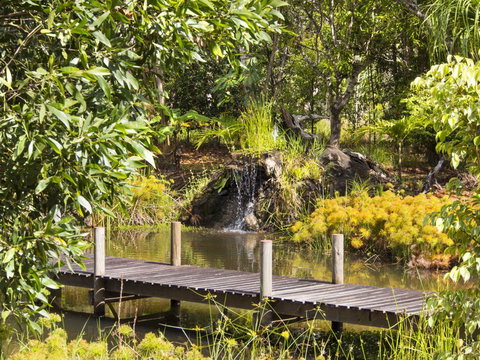 Cedar Park Rainforest Resort - New South Wales Tourism  0