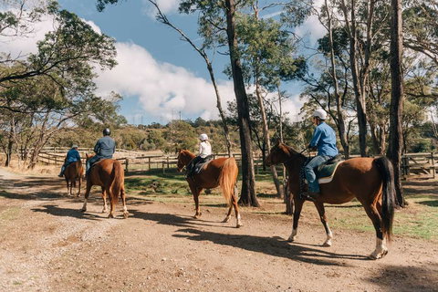 Country Club Villas - New South Wales Tourism  0