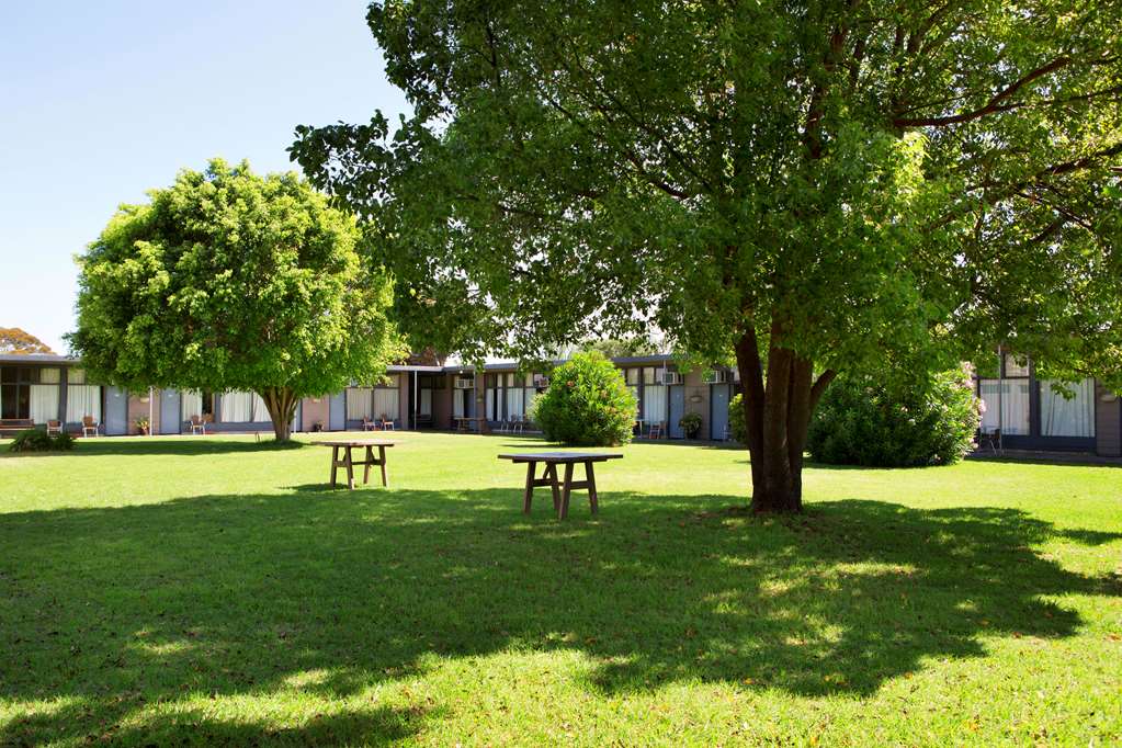 Morphettville SA New South Wales Tourism 