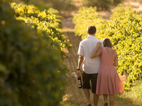 Novotel Barossa Valley Resort - New South Wales Tourism  1