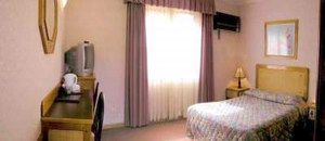 Golden Chain Ascot Motor Inn - New South Wales Tourism  1