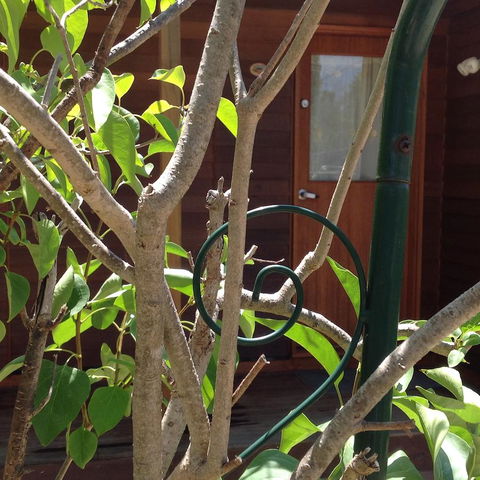 The Cook Cottage - New South Wales Tourism  10