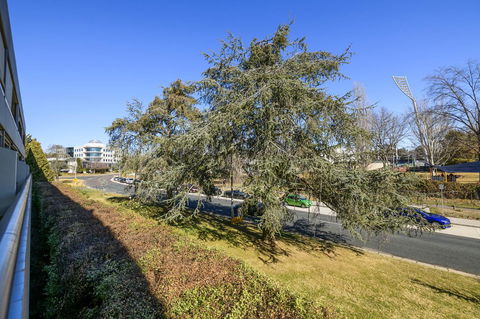 Accommodate Canberra - The Summit - New South Wales Tourism  5
