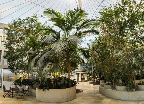 Rydges Canberra - New South Wales Tourism  14