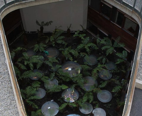 Canberra Luxury Apartment 3 - New South Wales Tourism  32