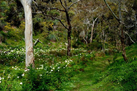 Lure Bed And Breakfast - New South Wales Tourism  17